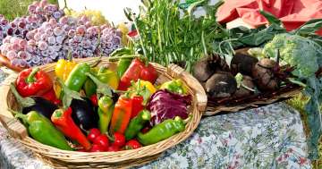 Die Top 10 Gemüsearten für den eigenen Garten